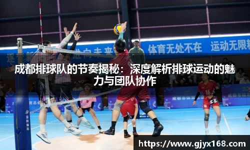 成都排球队的节奏揭秘：深度解析排球运动的魅力与团队协作